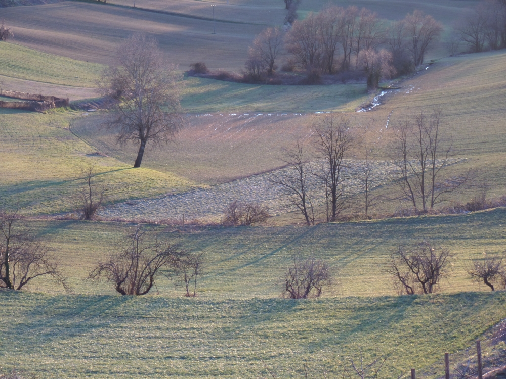 cenno di primavera cenno di primavera