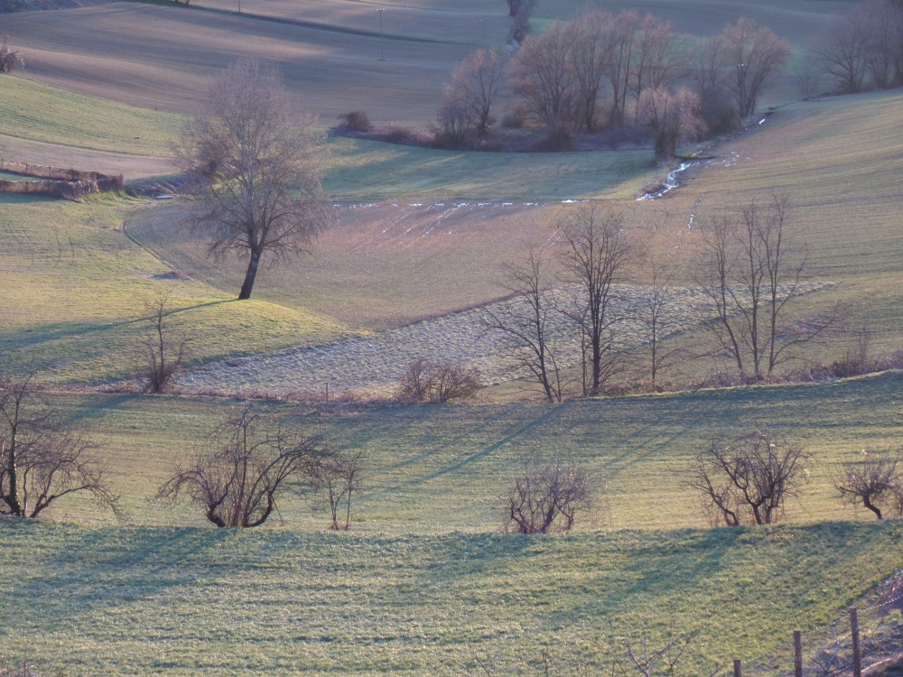 cenno di primavera