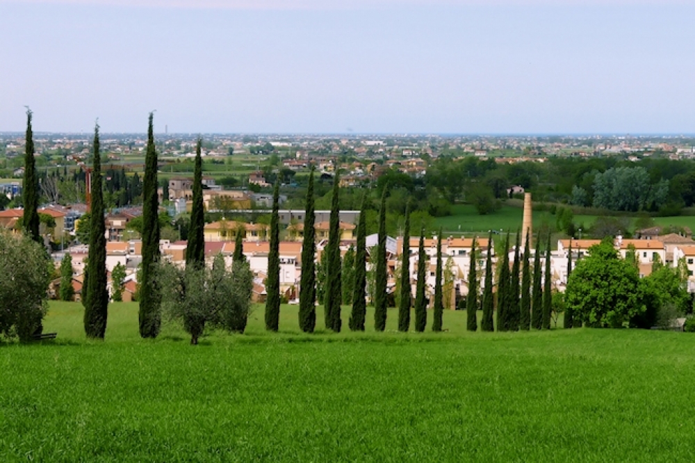 La via dei cipressetti La via dei cipressetti