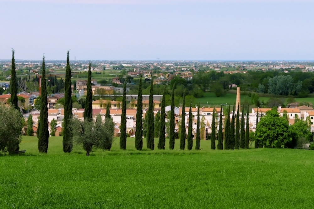 La via dei cipressetti 