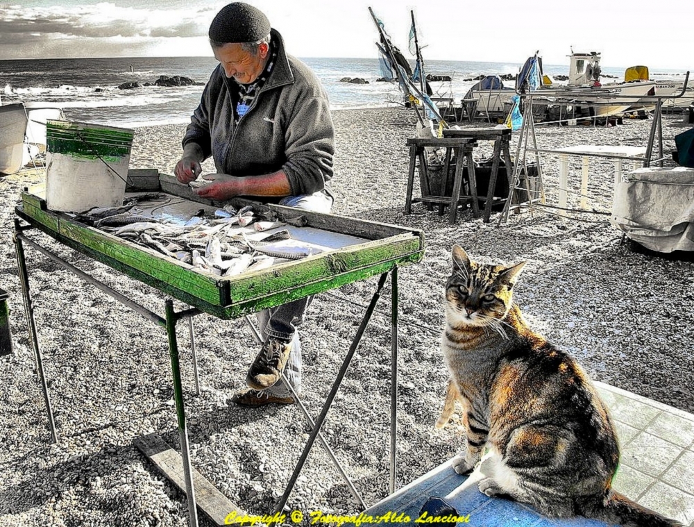 Attesa per un pranzo di pesce