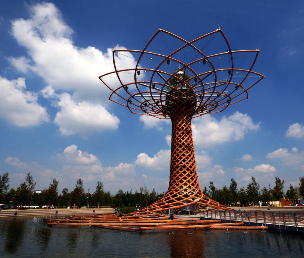 .....l'albero della vita..... .....l'albero della vita.....