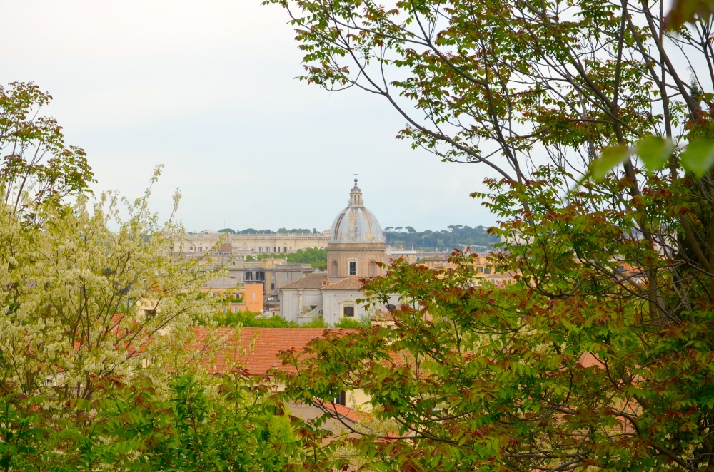 Roma Roma