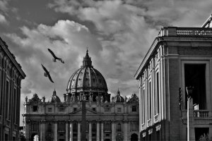 Gabbiani sul cielo di Roma
