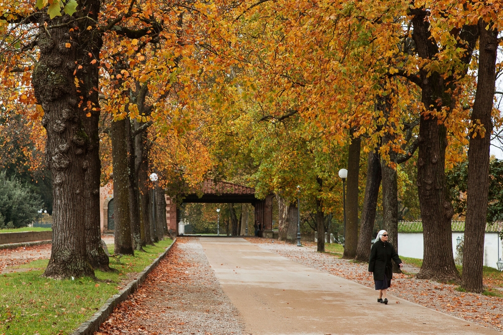 Passeggiata nel parco