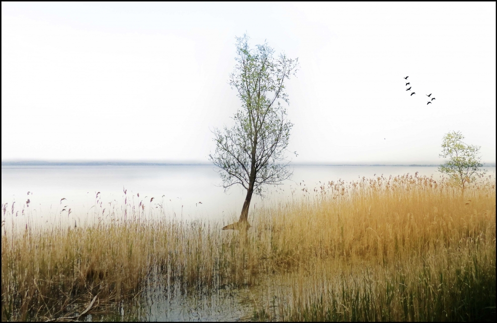 Il lago a Sirmione Il lago a Sirmione
