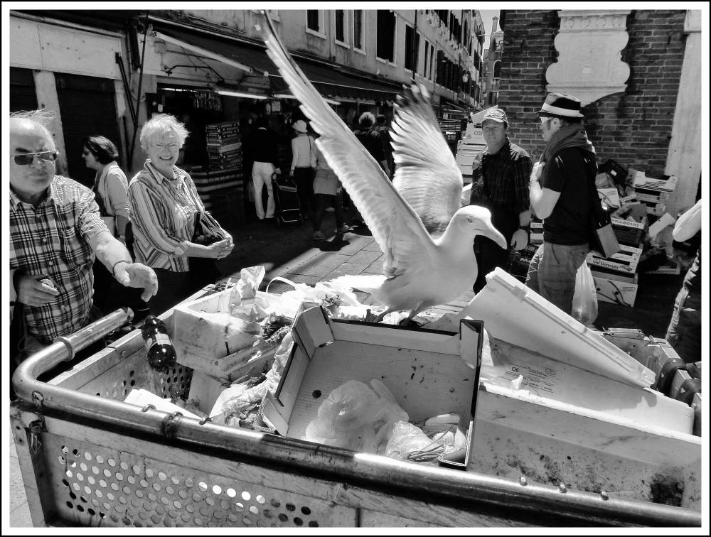 Al mercato di Rialto Al mercato di Rialto