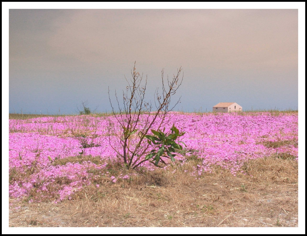 Paesaggio nei pressi di Capo Colonna