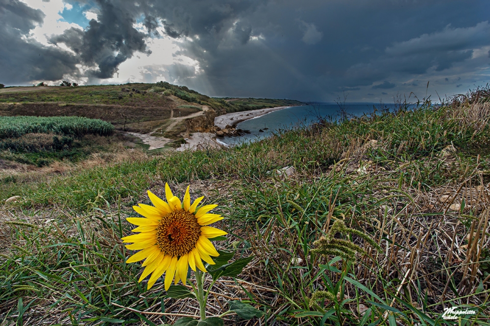 Riserva Naturale di Riserva Naturale di