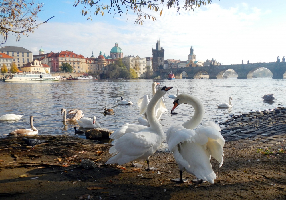 Praga Praga