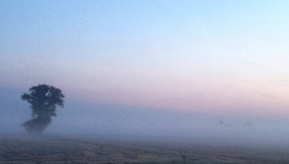 Nebbia Pavese Nebbia Pavese