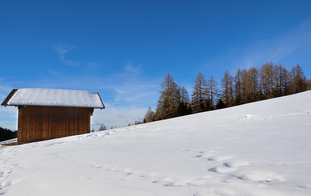 paesaggio invernale paesaggio invernale