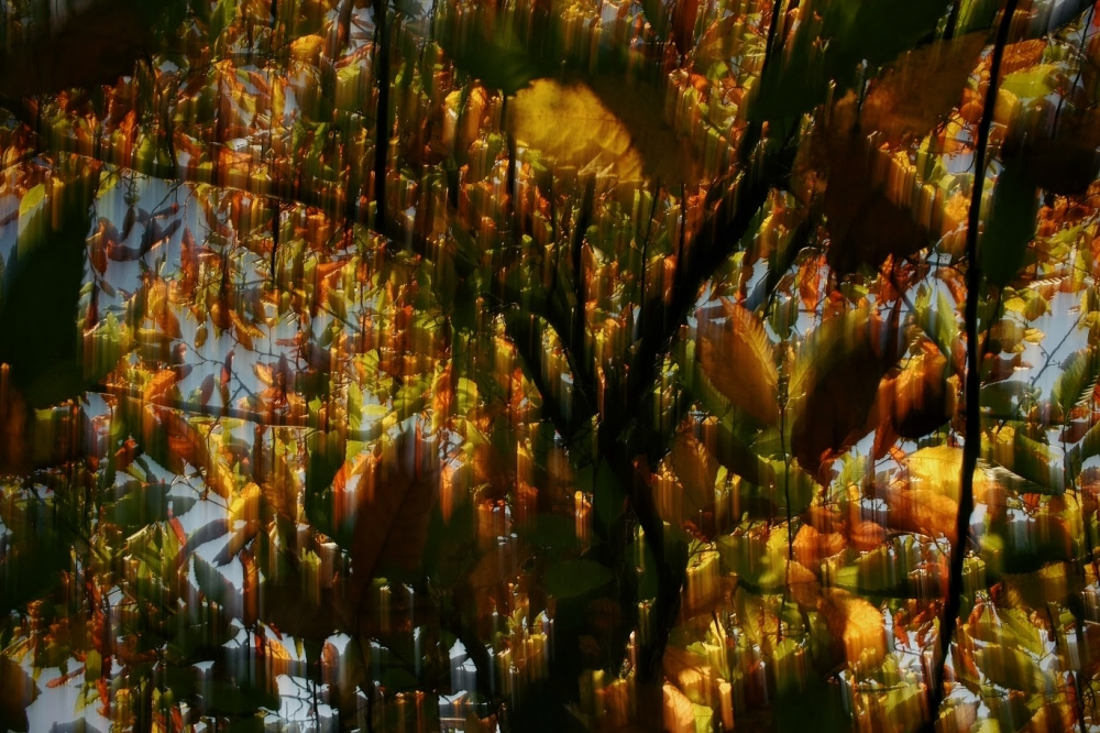 AUTUNNO AUTUNNO