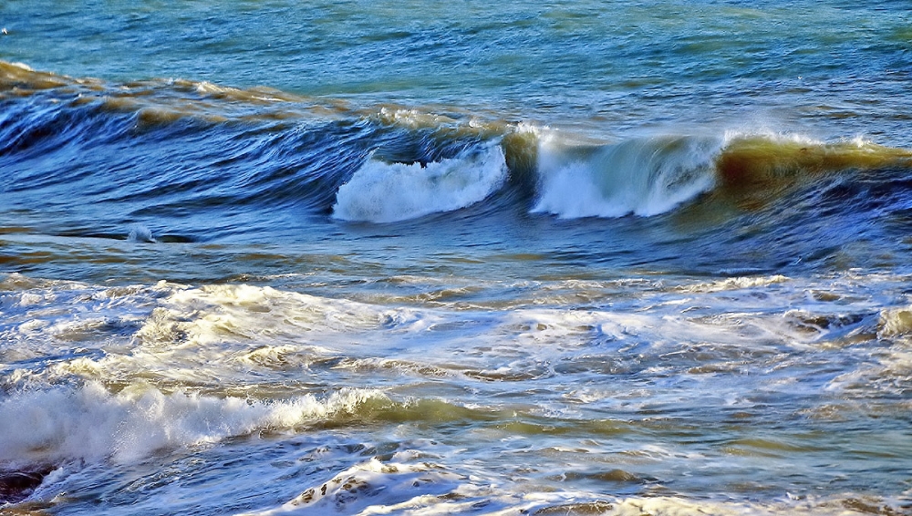 Mare...mare... Mare...mare...