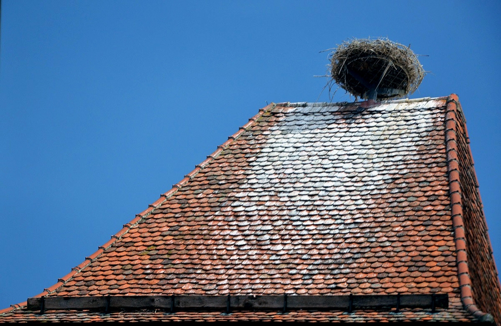 Aspettando la cicogna...