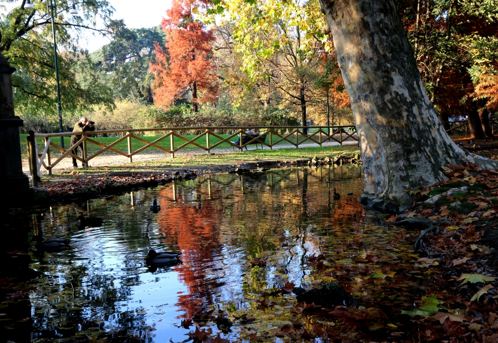 Autunno al parco Autunno al parco