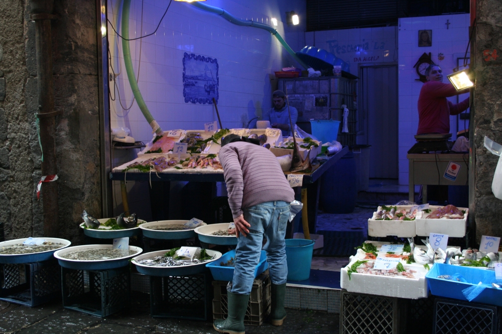 pescheria napoletana pescheria napoletana