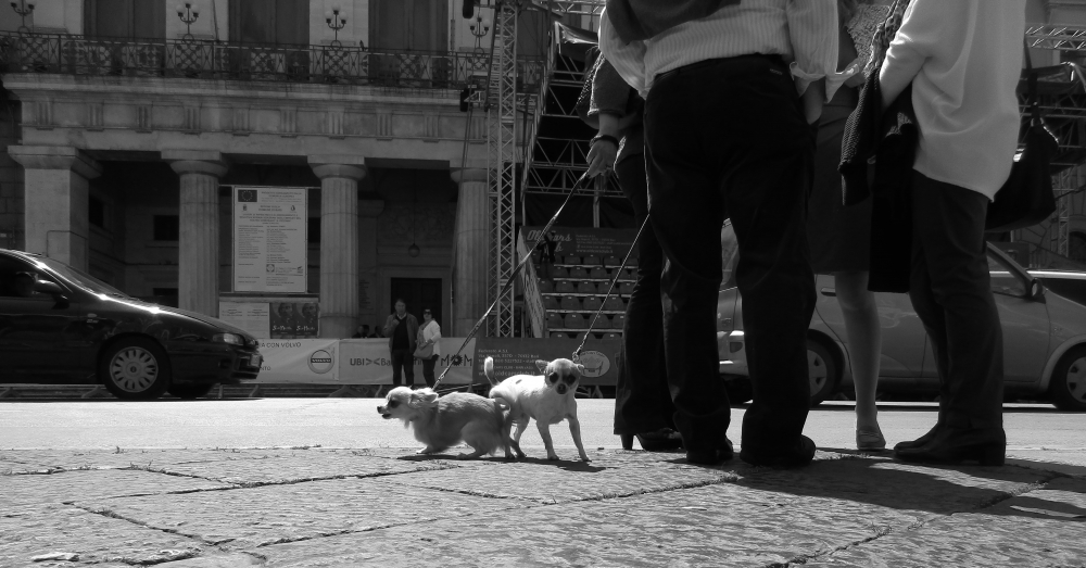irrequietezza e calma irrequietezza e calma