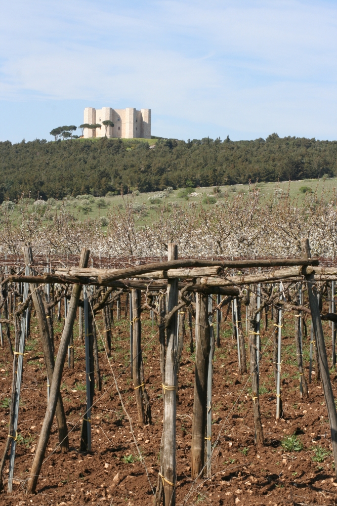 Castel del Monte Castel del Monte