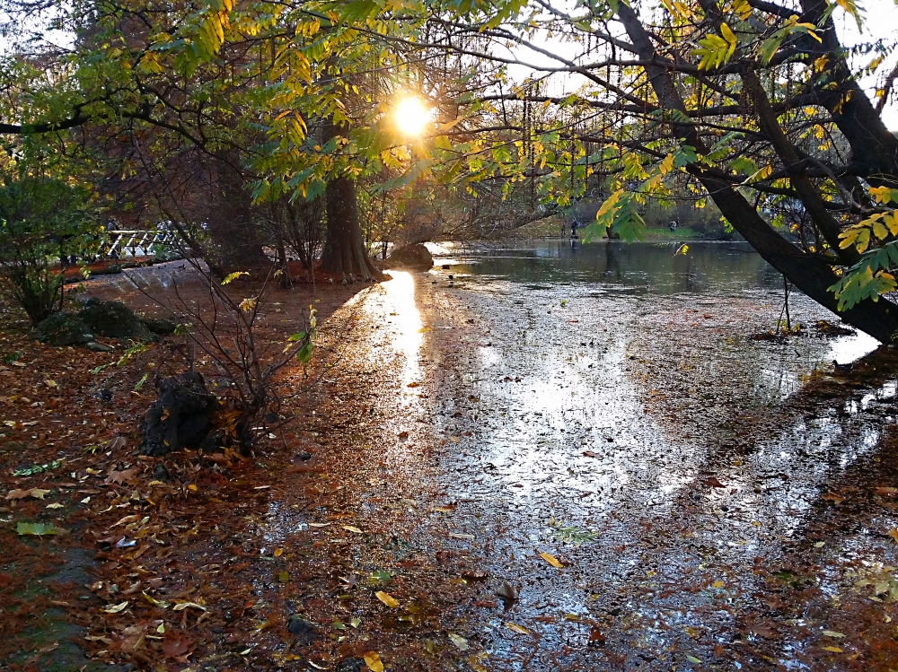 I colori dell'autunno I colori dell'autunno