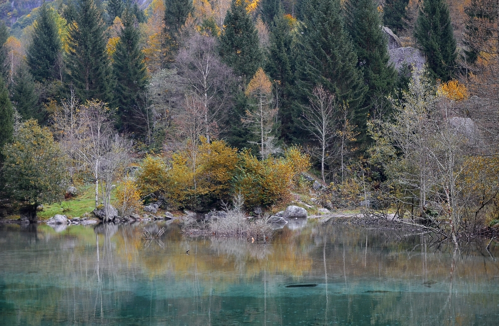 riflessi di autunno 