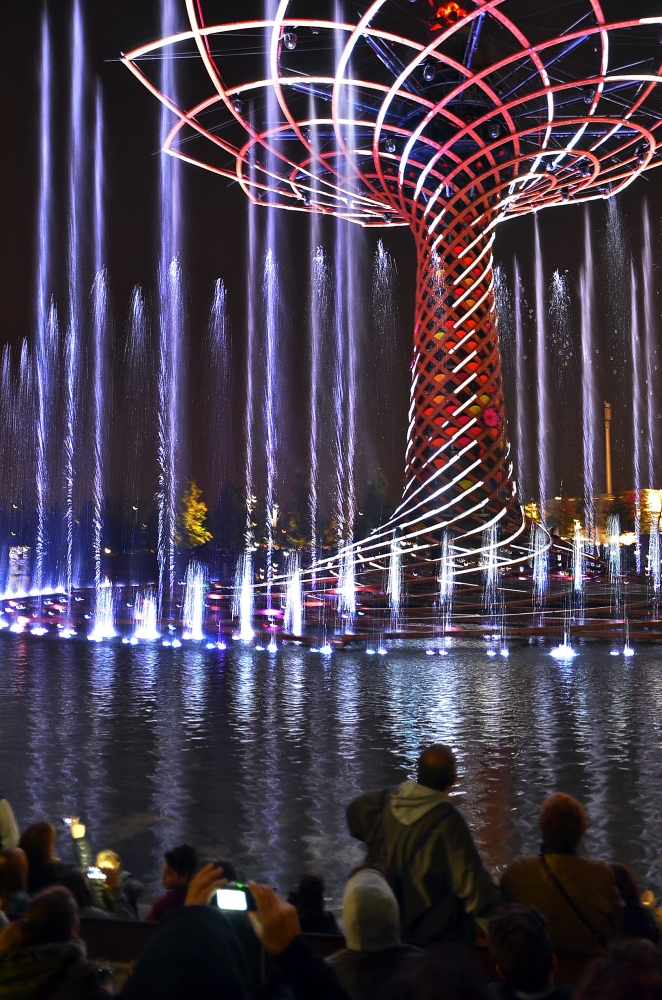 albero della vita by night