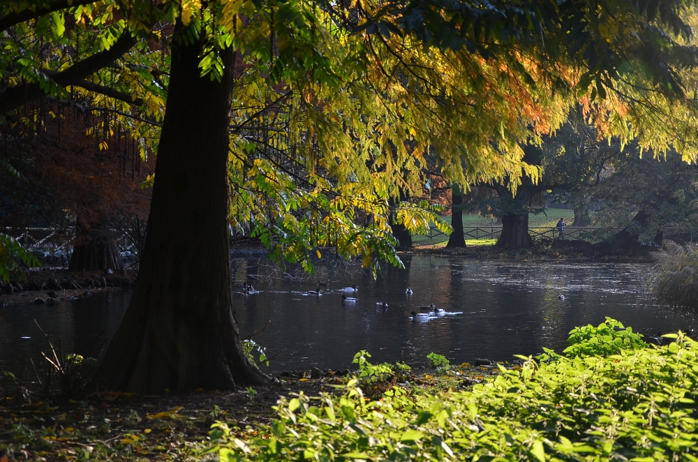 al parco.... al parco....