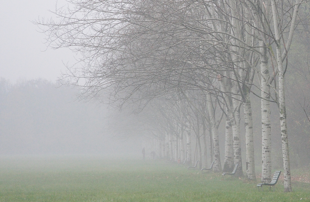 nella nebbia... nella nebbia...