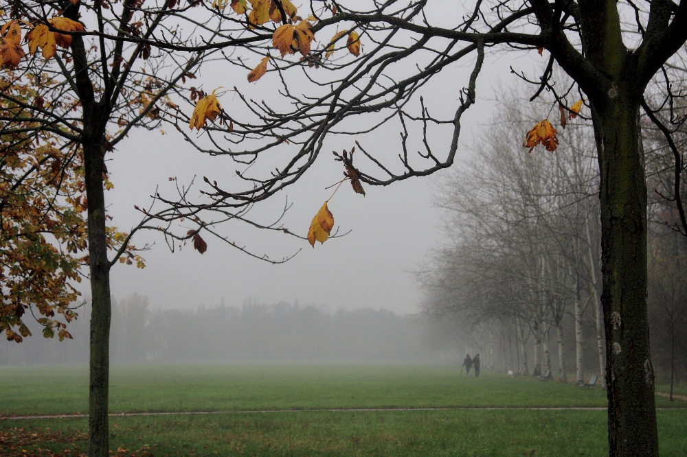 oggi nebbia....