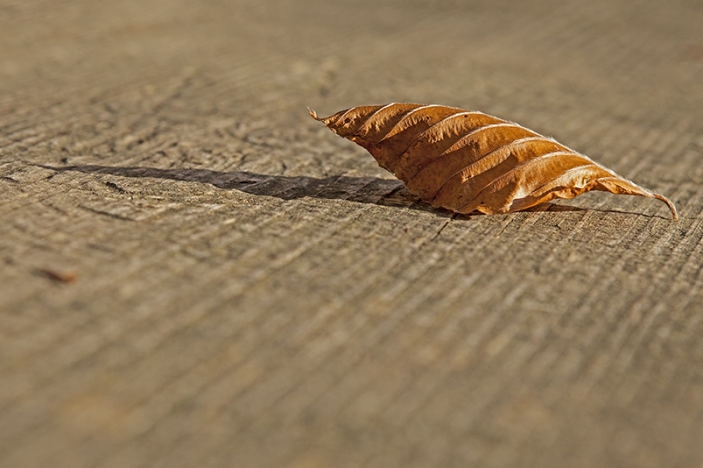 L'ultimo sole d'autunno L'ultimo sole d'autunno