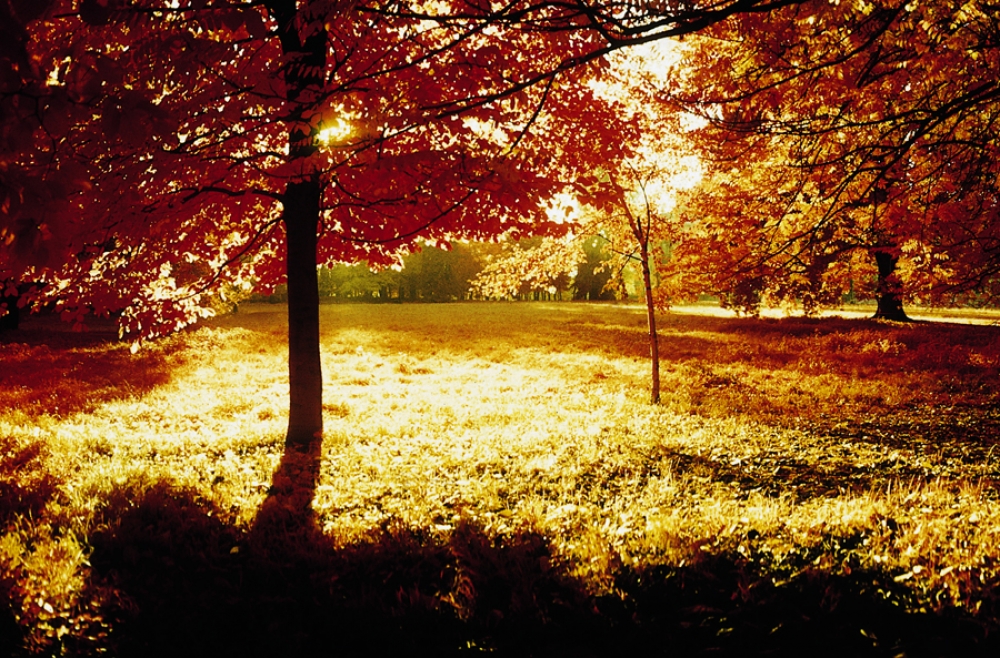 autunno autunno