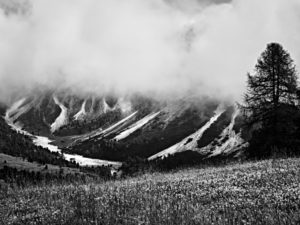 Era estate, ma sembrava autunno