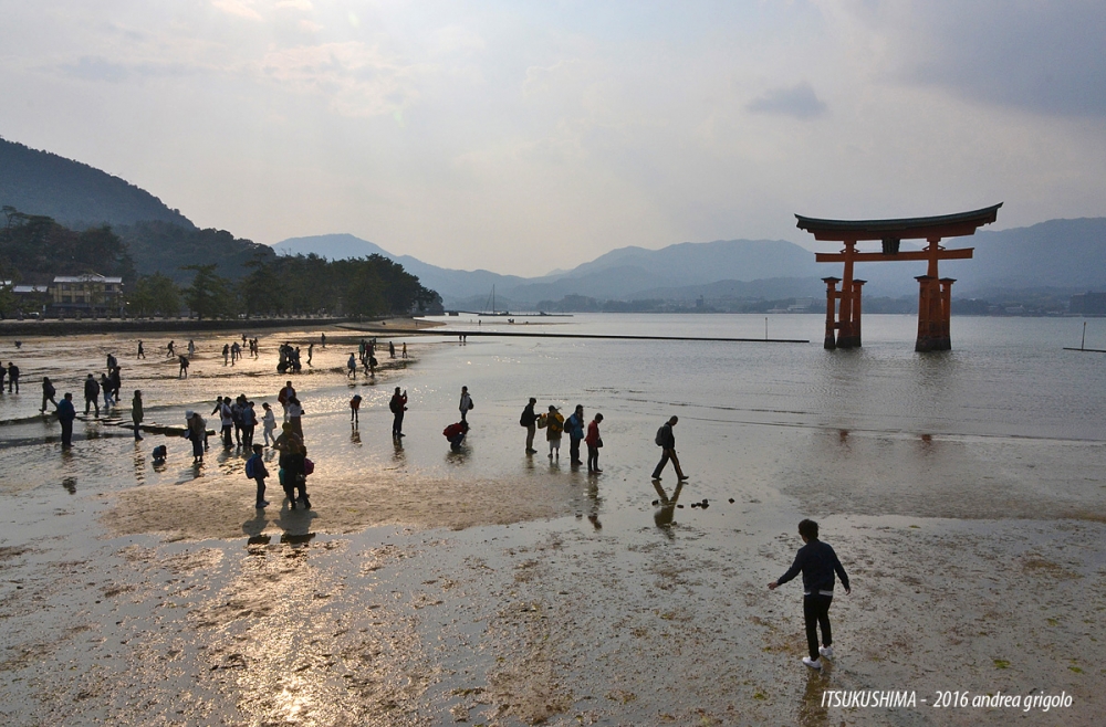 Bassa marea a Itsukushima