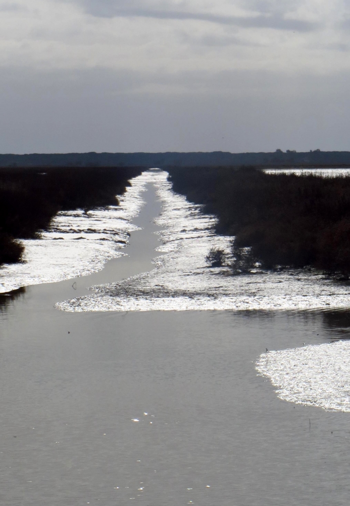 canale lucente