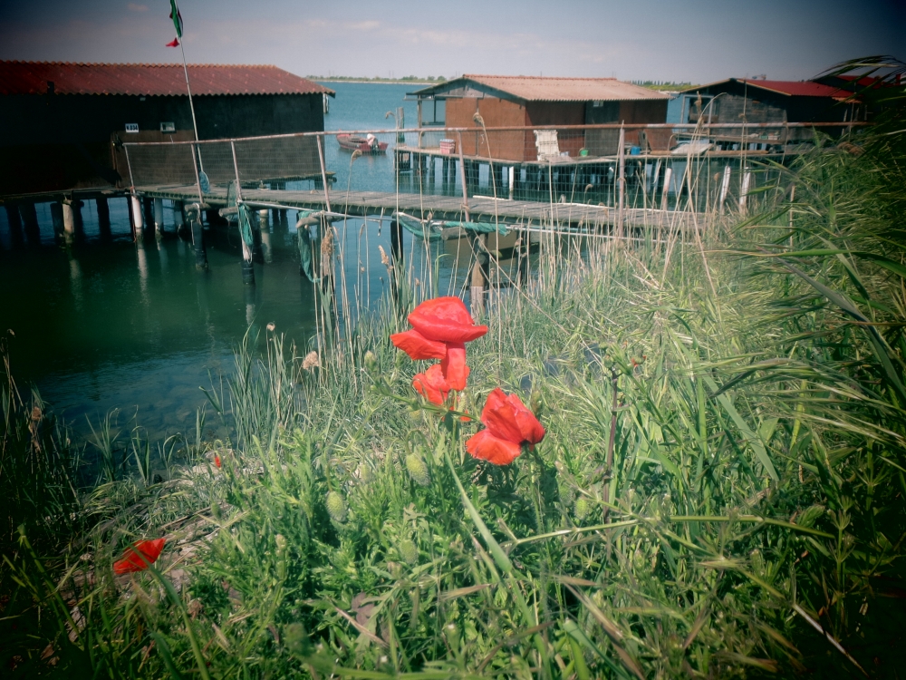 Timida primavera sul Delta Timida primavera sul Delta