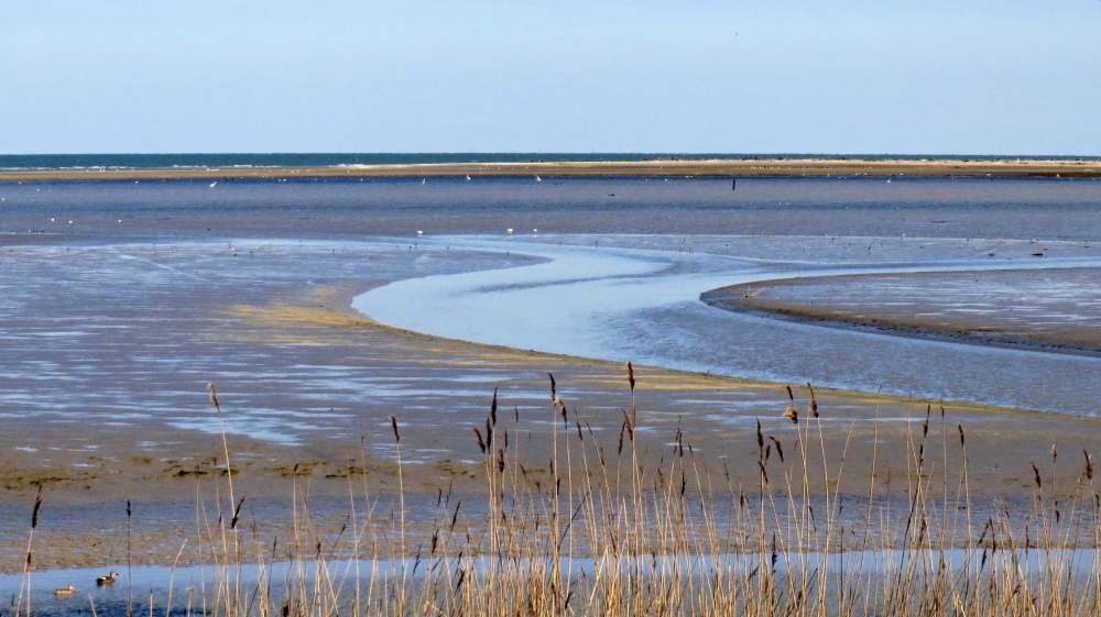 Sul Delta Sul Delta