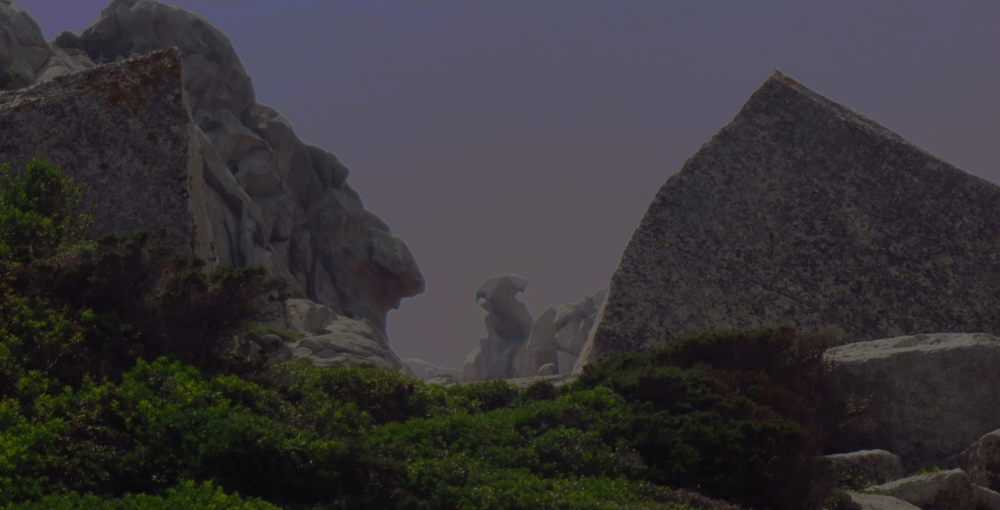 Una presenza fra le rocce Una presenza fra le rocce