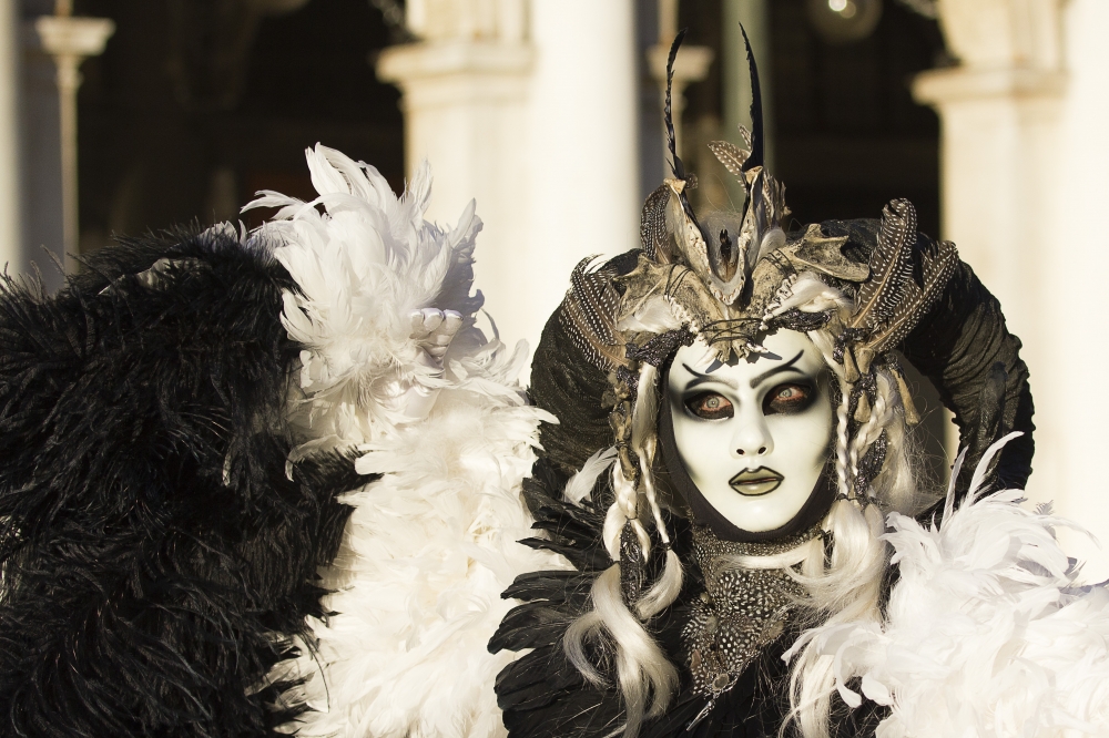 Carnevale a Venezia Carnevale a Venezia