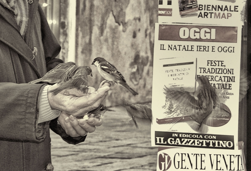 Gli amici del giornalaio della Via Nuova Gli amici del giornalaio della Via Nuova