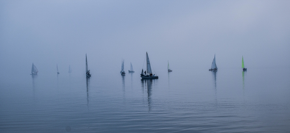 La regata nella nebbia