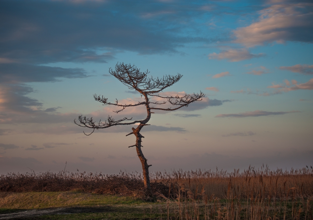 Solitudine d'autunno