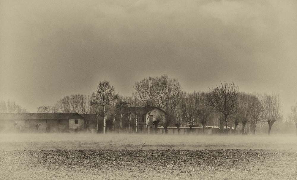 Avvolti nella nebbia... Avvolti nella nebbia...