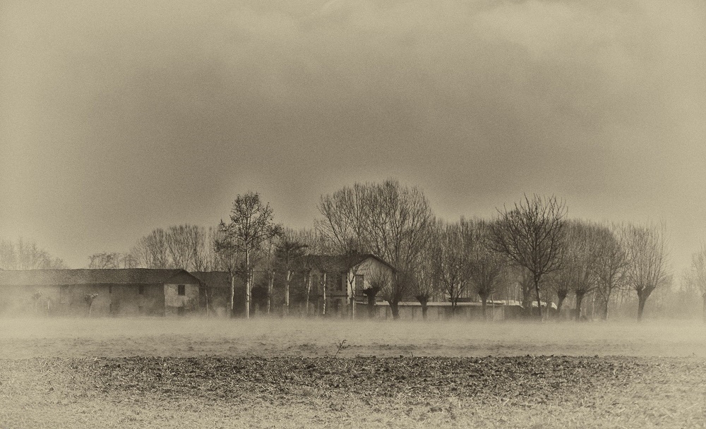 Avvolti nella nebbia...