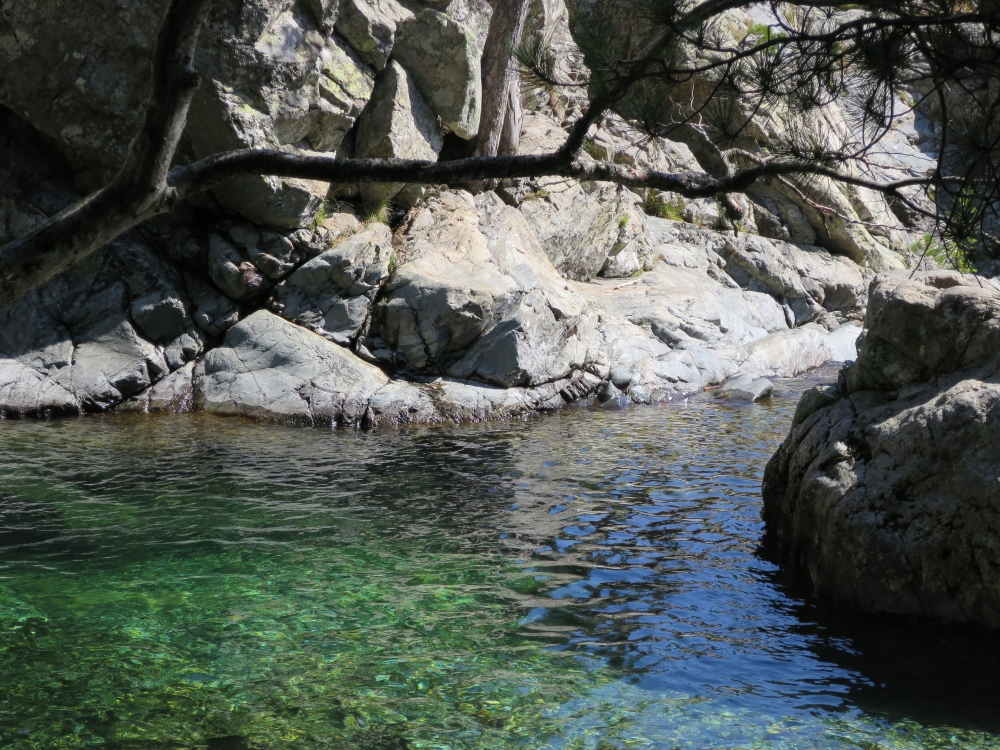 Il torrente Il torrente