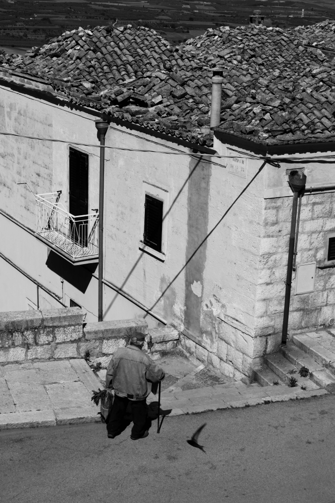 l'anziano l'anziano