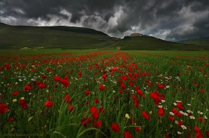 LA STRADA ROSSA