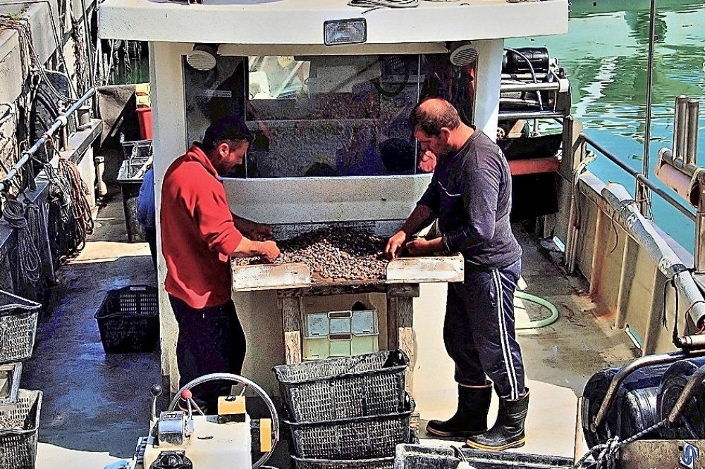 Pescatori di vongole Pescatori di vongole