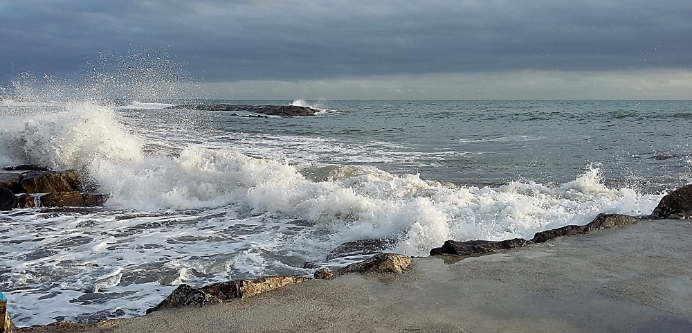 Il mare d'inverno- Il mare d'inverno-