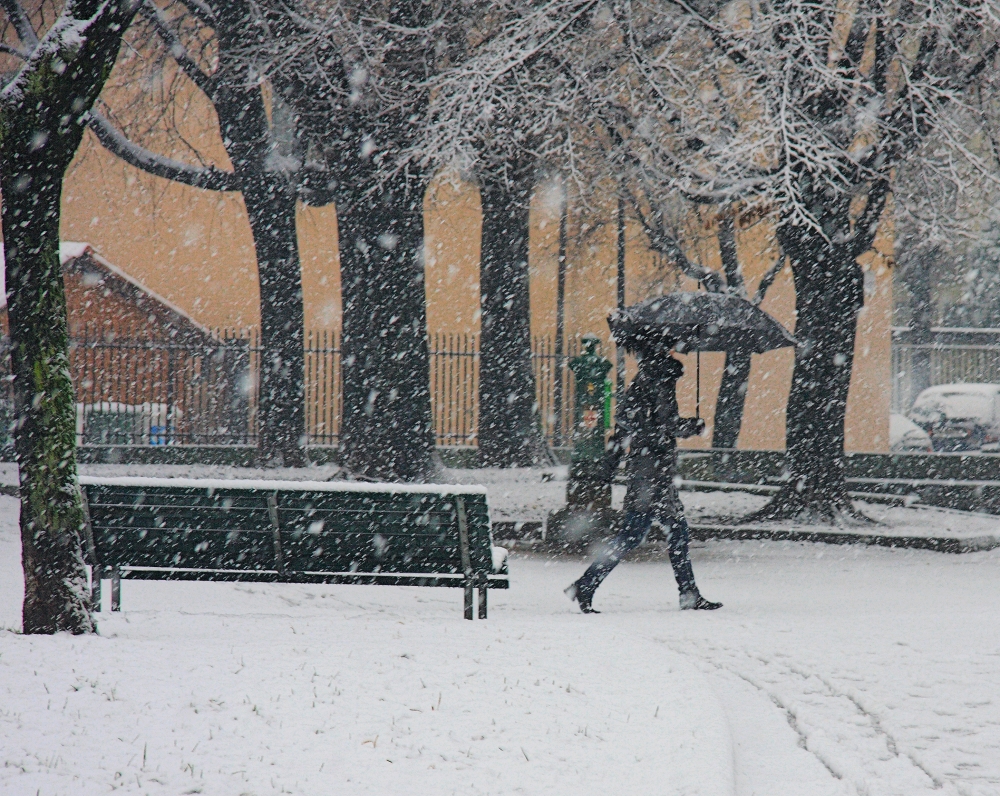 finalmente....LA NEVE!!!!! finalmente....LA NEVE!!!!!