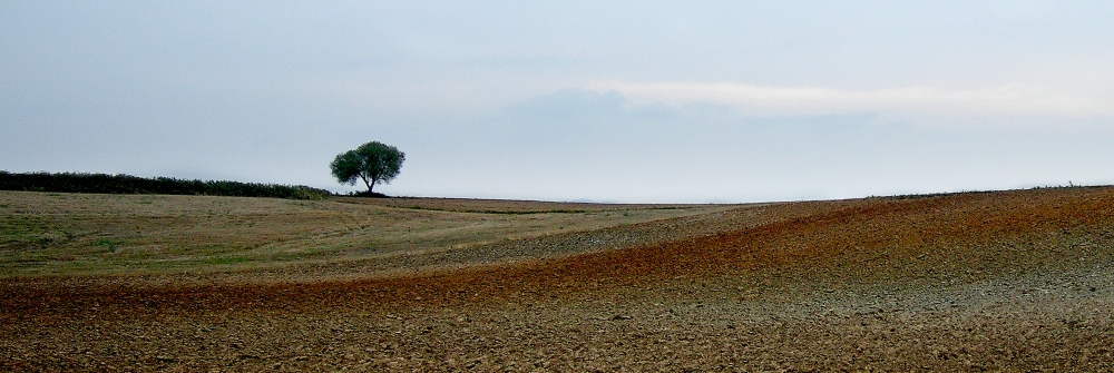 Toscana